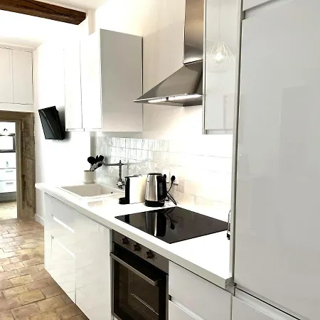 Appartement La Duchesse - Grand Au Coeur De Dijon