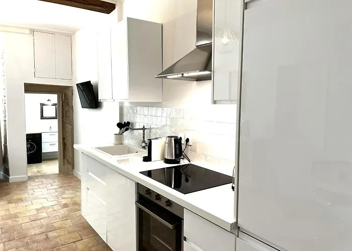 アパート La Duchesse - Grand - Avec Climatisation ディジョン